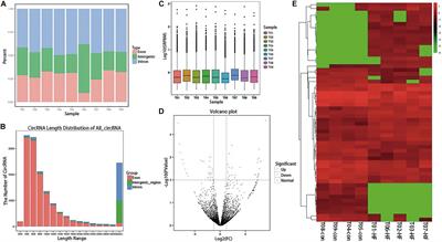 Circular RNA-Expression Profiling Reveals a Potential Role of Hsa_circ_0097435 in Heart Failure via Sponging Multiple MicroRNAs